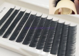 Camellia Volume Lashes VS Classic Lash / Russian Volume Eyelash Wholesale