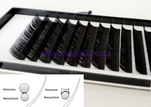 Purchase Best Lashes from Flat Eyelash Extensions Vendors China