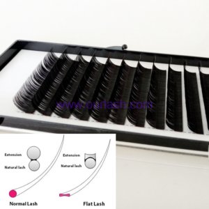 Purchase Best Lashes from Flat Eyelash Extensions Vendors China