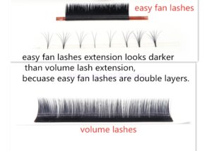 easy fan vs volume lashes