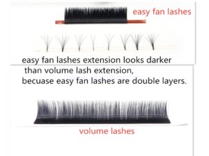 easy fan vs volume lashes