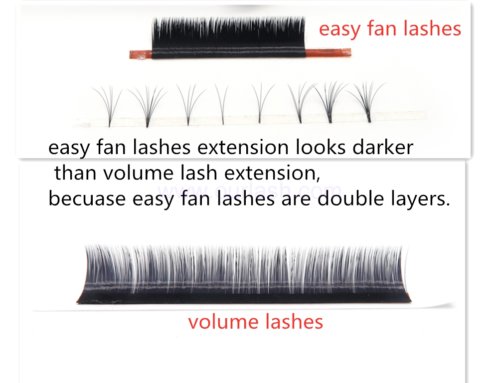 Easy Fan vs Volume Lashes from Easy Fan Eyelash Extension Factory