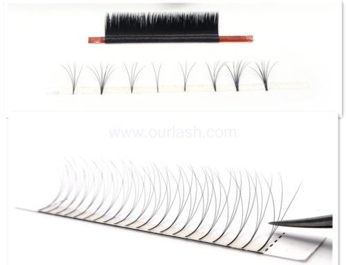 Buy Easy Fan Lashes Wholesale from Eyelash Tray Vendors