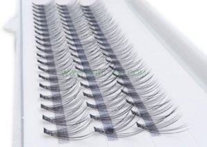 Lash Extensions Factory