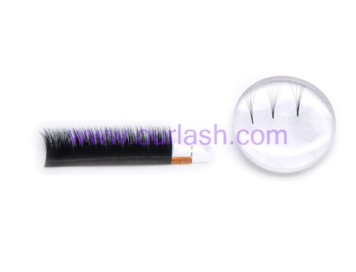 Buy Easy Fan Eyelash Wholesale from Eyelash Tray Vendors