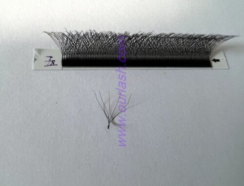 Wholesale 5D W Eyelash Extensions / 5D W Lashes Extensions from Factory