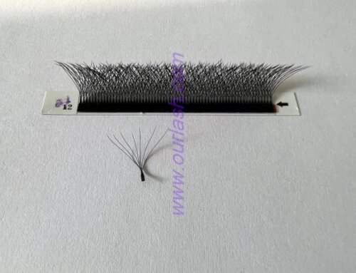 7D YY Eyelash Extensions / 7D W Lashes Extensions Wholesale