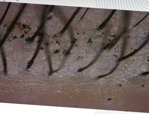 Strip Lash Glue vs DIY Cluster Lash Glue: Key Differences, Compatibility & Selection Guide